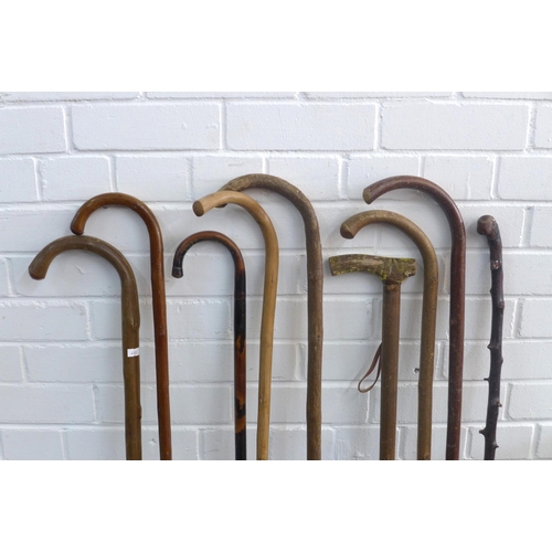 459 - Collection of walking sticks, longest 96cm