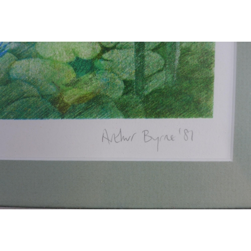 163 - ARTHUR BYRNE, EDINBURGH BOTANICAL GARDENS 2, Ltd Ed print 20/60, signed with pencil and framed under... 