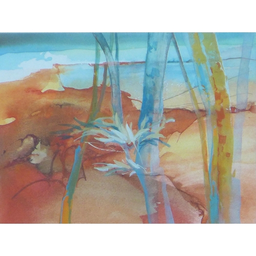 189 - JANET JOHNSON, untitled watercolour of Australian Outback, unsigned, framed under glass, 20 x 15cm