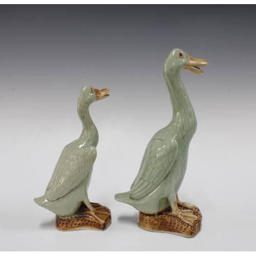 410 - Two Chinese celadon glazed ducks, taller 25cm