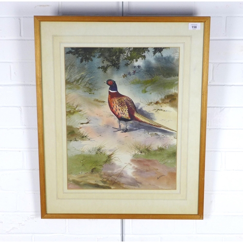 158 - ROBERT W. MILLIKEN (IRISH 1920 - 2014) signed watercolour of a pheasant in woodland, framed under gl... 