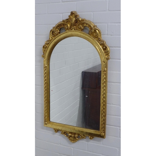 289 - Gilt framed wall mirror, 50 x 93cm.