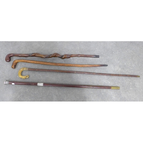 291 - A collection of walking canes and shepherd crooks to include a cane with silver mounts, (4)