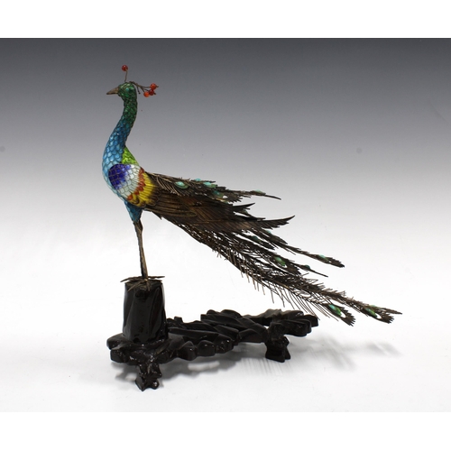 Early 20th century Chinese cloisonne peacock with jewelled and enamelled tail feathers, modelled standing on a lacquered wooden base, 30 x 28cm