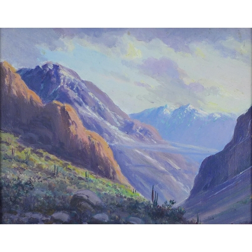 176 - Mountain range, Santiago, Chile, oil on board, signed indistinctly, framed, 26 x 20cm