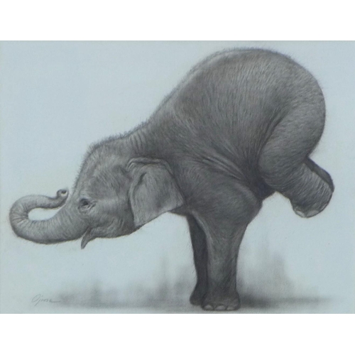 194 - Untitled oil on canvas of an elephant, signed indistinctly and framed under glass, 44 x 34cm