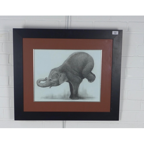 194 - Untitled oil on canvas of an elephant, signed indistinctly and framed under glass, 44 x 34cm