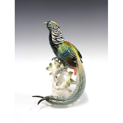 127 - Karl Ens (Volkstedt) porcelain figure of a pheasant, 30cm