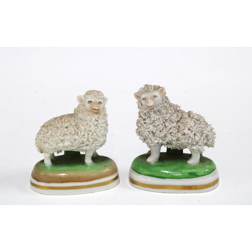 144 - Two Dresden sheep, 6cm (2)