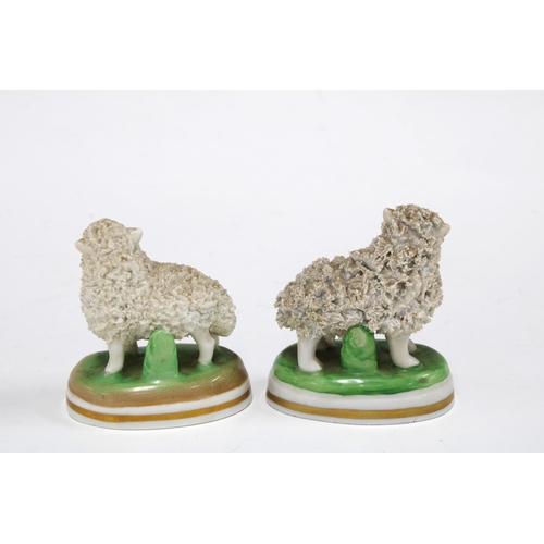 144 - Two Dresden sheep, 6cm (2)