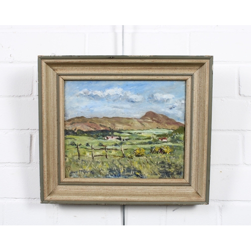 12 - JOHN MCKILLOP (SCOTTISH 19TH/20TH CENTURY), DUMGOYNE HILL FROM KILLEARN ROAD, signed oil on board, f... 