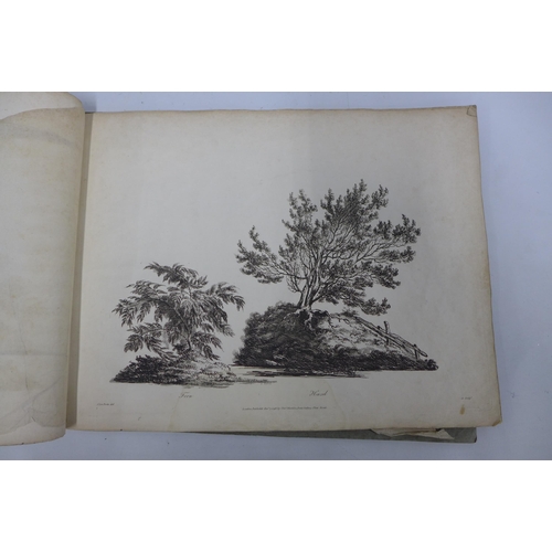 122 - JOHN LAPORTE (BRITISH 1761-1839), THE CHARACTER OF TREES, VOLUME 3 (1796)  AND VOLUME 5 (1796), each... 