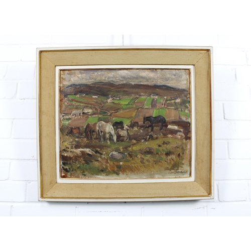 41 - DAVID MACBETH SUTHERLAND R.S.A. (SCOTTISH 1883-1974), A COMMON GRAZING - WEST HIGHLANDS, signed oil ... 