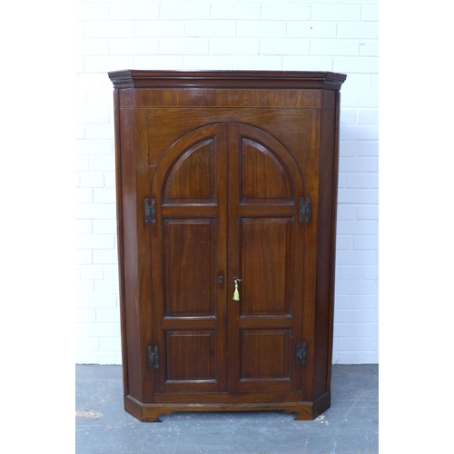 266 - 19th century mahogany corner cupboard, with a pair of arched and fielded panel doors, opening to rev... 