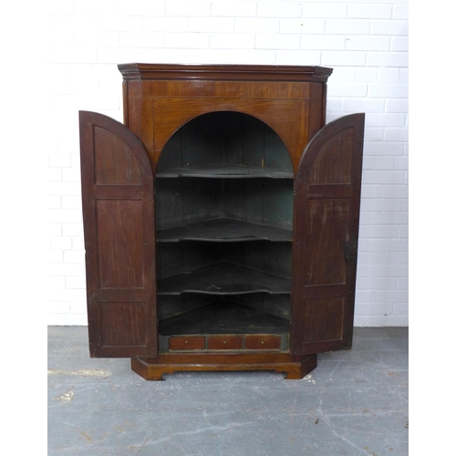 266 - 19th century mahogany corner cupboard, with a pair of arched and fielded panel doors, opening to rev... 