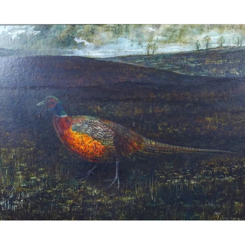 161 - IAIN ROSS (SCOTTISH 20TH CENTURY) untitled oil on board of a pheasant, signed bottom, framed, 50 x 4... 