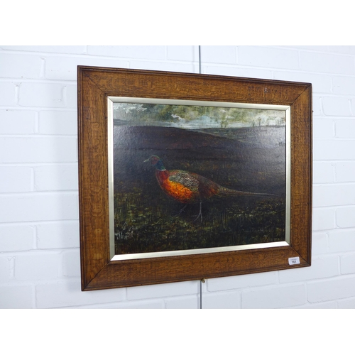 161 - IAIN ROSS (SCOTTISH 20TH CENTURY) untitled oil on board of a pheasant, signed bottom, framed, 50 x 4... 