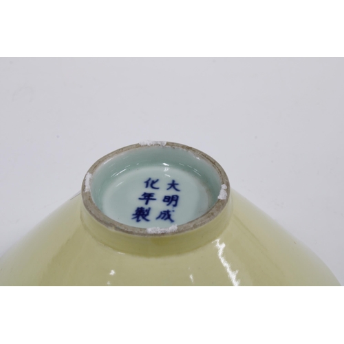 111 - Chinese yellow glazed bowl, the interior painted with flowers within a blue rim border, character ma... 