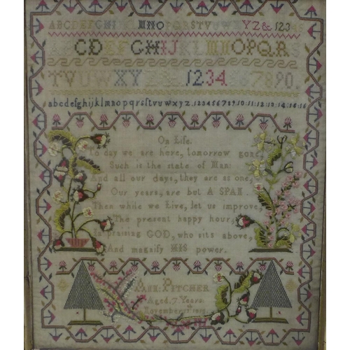 141 - Georgian needlework sampler, worked by Ann Pitcher, Aged 7 Years November 1815, under glass within a... 