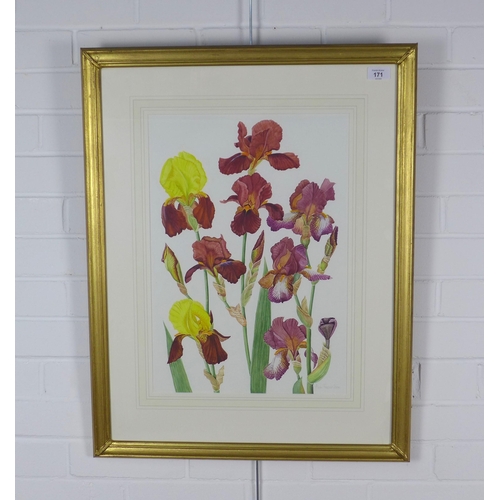 171 - LADY ANN FRASER, watercolour of irises, signed and dated 2006,  framed under glass, 35 x 50cm