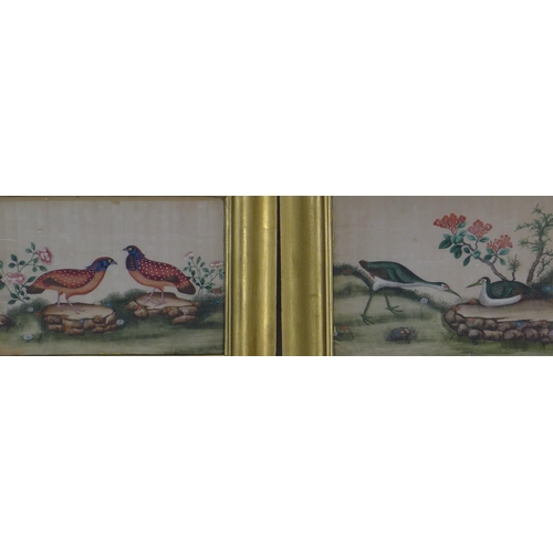 184 - Two Chinese pith paper watercolours of birds, framed under glass, 25 x 17cm (2) (a/f)