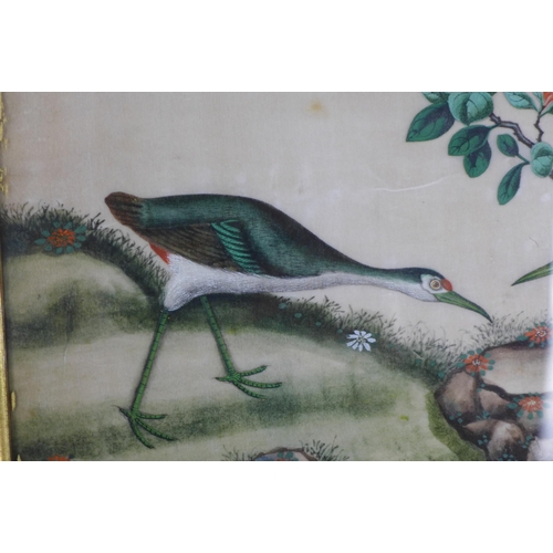 184 - Two Chinese pith paper watercolours of birds, framed under glass, 25 x 17cm (2) (a/f)