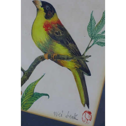 185 - WEI LEAK, two watercolours of birds, signed and with red seal mark, each framed under glass, 13 x 18... 