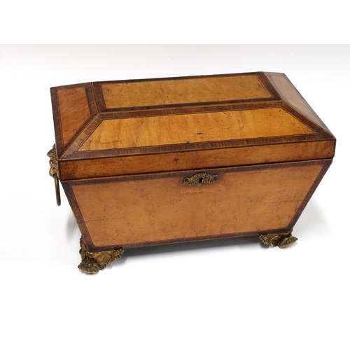 338 - Satinwood sarcophagus tea caddy, with crossbanded edging, ormolu lion face handles and paw feet (ben... 