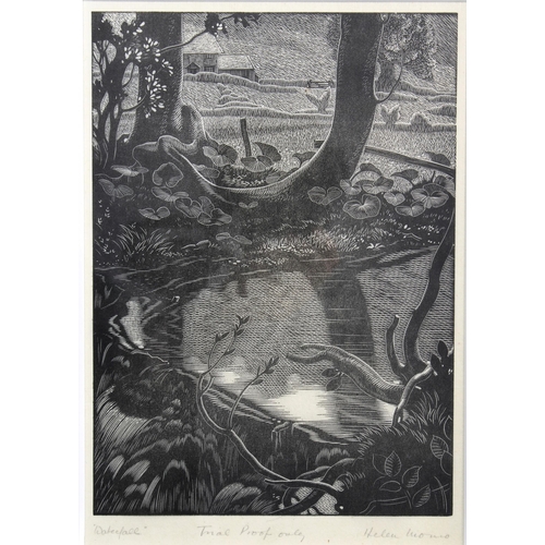 Lot 24        