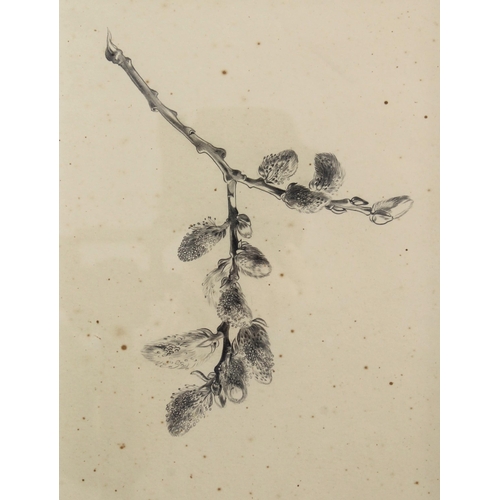 Lot 29        