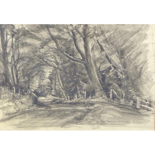 Lot 49        