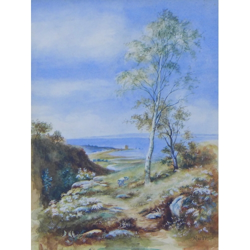Lot 12        