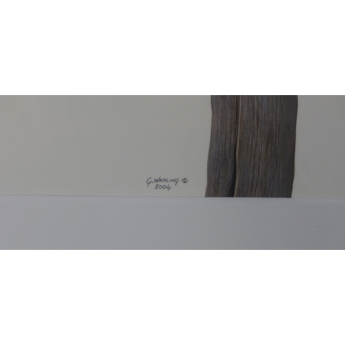 17 - GARETH WATLING (BRITISH b.1964) WREN PERCHED ON A POST, gouache on paper, signed and dated 2004, fra... 