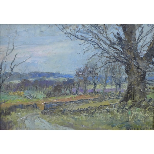 Lot 21        