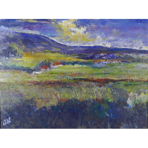 Lot 24        