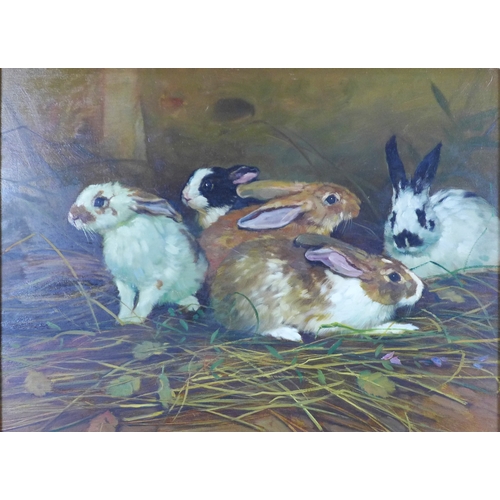 Lot 25        