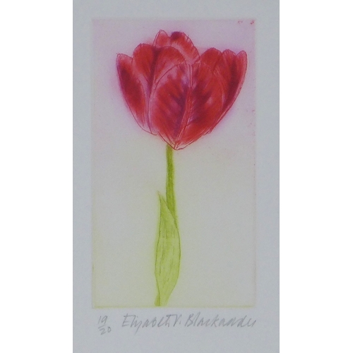 Lot 26        
