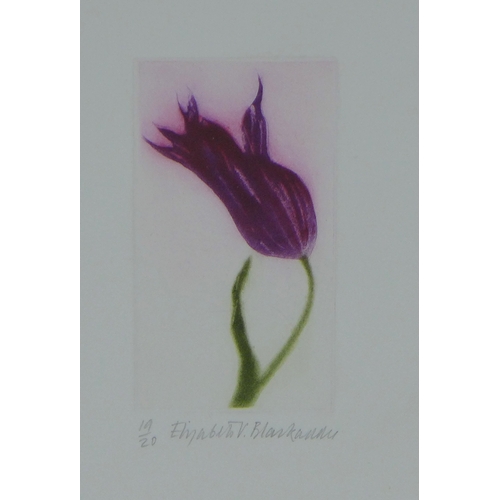 Lot 27        