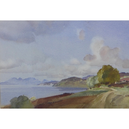 Lot 50        