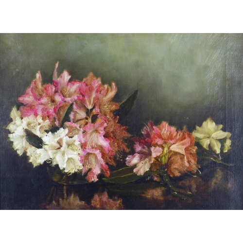 155 - Early 20th century British School still life oil on canvas, perhaps by Harriet Agnew, unsigned, moul... 