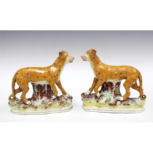 335 - Pair of Staffordshire pottery leopard figures, each modelled standing and strolling, on naturalistic... 