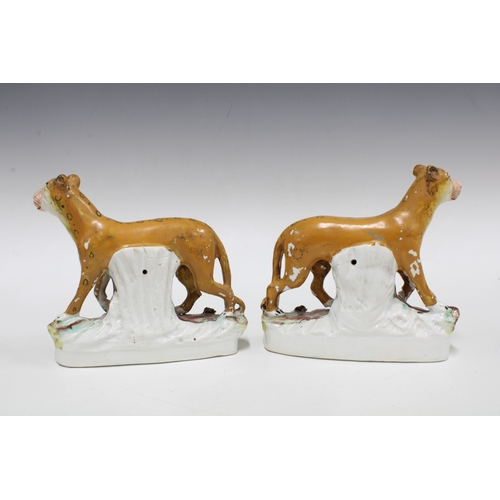 335 - Pair of Staffordshire pottery leopard figures, each modelled standing and strolling, on naturalistic... 