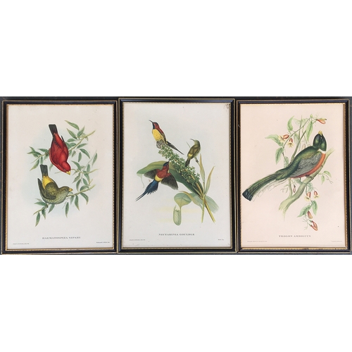 427 - After John Gould and Henry C. Richter, three lithograph bird studies, Nectarinia Gouldiae; Trogon Am... 