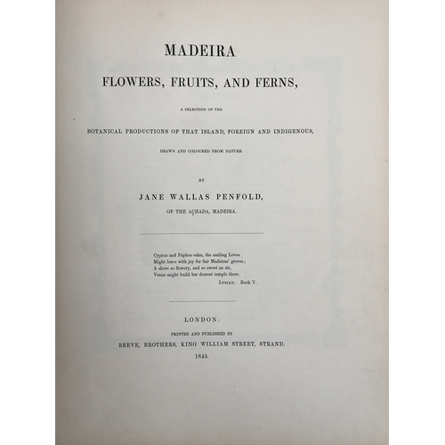 378 - Penfold, Jane Wallas (fl. 1820-1850, artist) and William Lewes Pugh Garnons (1791-1863), Madeira Flo... 