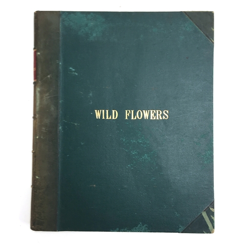 377 - Pratt Anne, Wild Flowers (96 Coloured plates), London: Society for Promoting Christian Knowledge, 18... 