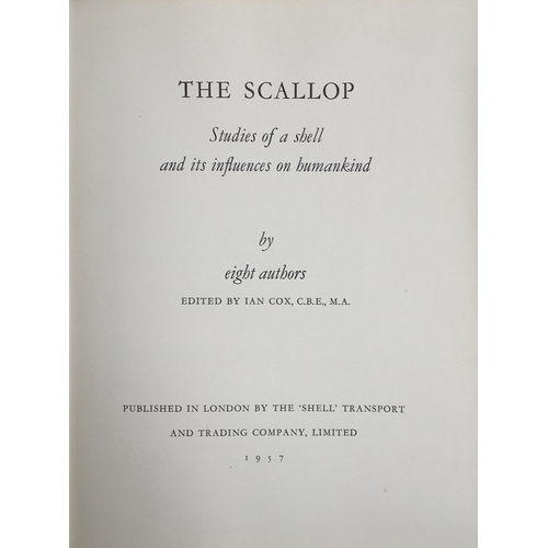 384 - Several books, including Ian Cox (ed), The Scallop: Studies of a shell and its influences on humanki... 