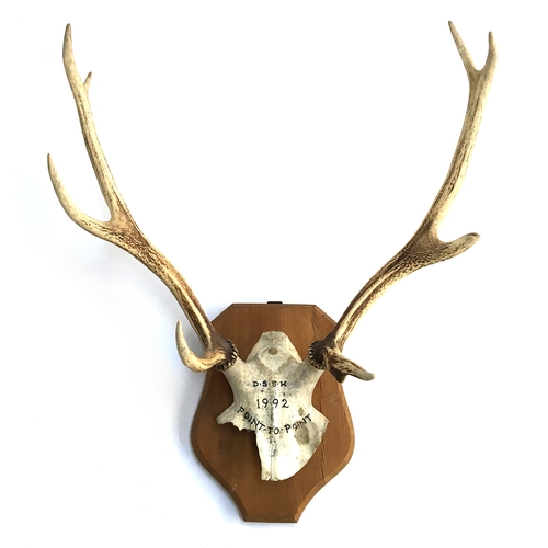 75 - A pair of eight point antlers mounted on a wooden shield, the crown inscribed 'D.S.S.H, Point-to-Poi... 