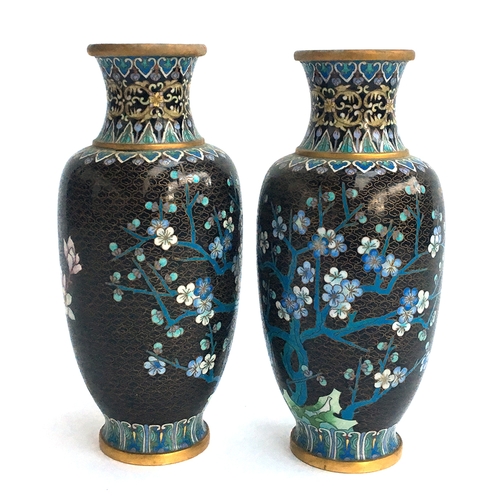 147 - A pair of late 19th century Chinese cloisonné enamel vases on hardwood stands, depicting cherry blos... 