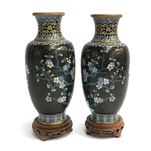 147 - A pair of late 19th century Chinese cloisonné enamel vases on hardwood stands, depicting cherry blos... 