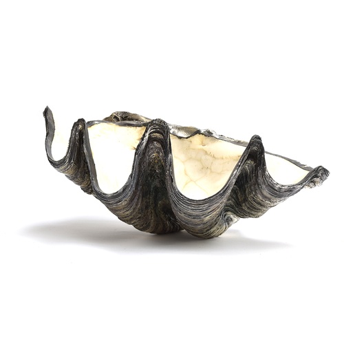 118 - An Italian white metal mounted giant clam shell, approximately 50cm wide